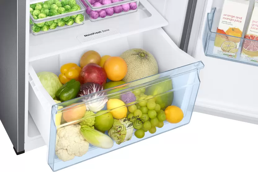 SAMSUNG 385 L Frost Free Double Door 2 Star Convertible Refrigerator  (Elegant Inox, RT42C5532S8/HL) - Image 4